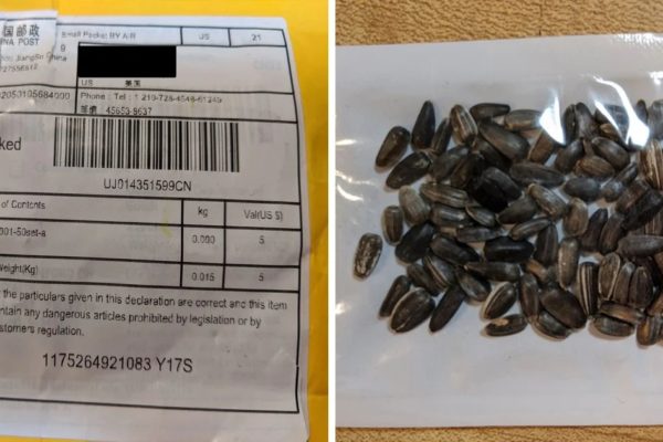 Mysterious packages of seeds shipped to France from China