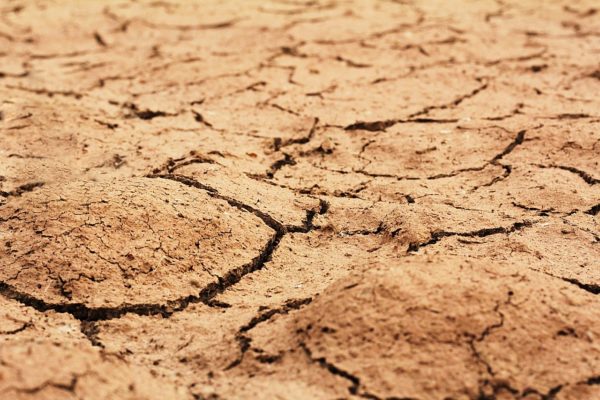 Drought: France had its driest July in 60 years, according to Météo France