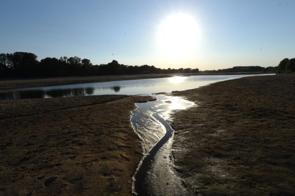 80% of Europe’s natural habitats in poor shape: report